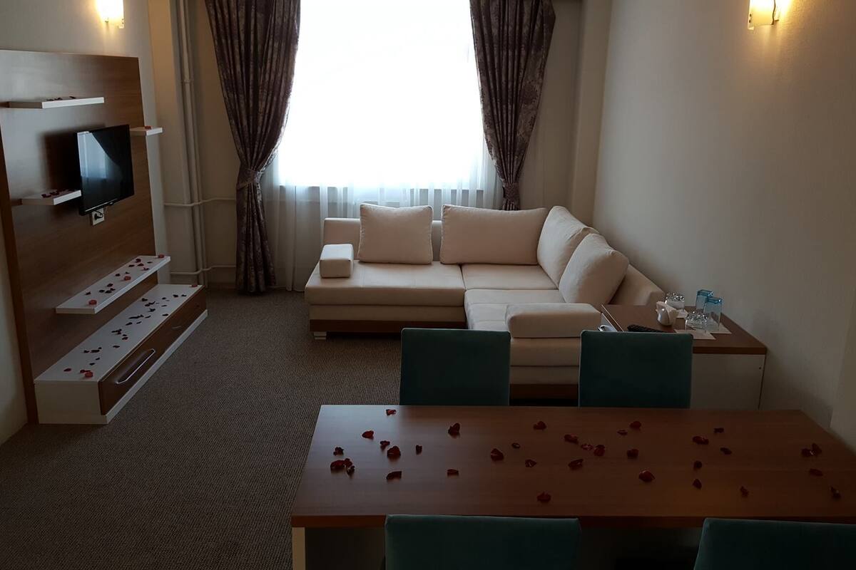 Ein modernes Hotelzimmer mit einer Couch, einem Fernseher, einem Holztisch mit Rosenblättern und einem Vorhangfenster.