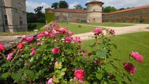 A historic building with a garden of pink roses, a tower, and a well-maintained lawn. - Zythogite Appartement 9 personnes (Tintigny)