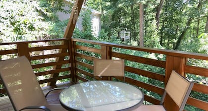 Flotando en un bosque con vistas a la montaña: minutos del centro, Biltmore y tiendas