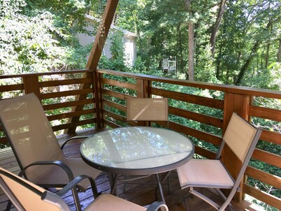 Floating in a forest with mountain views - minutes to downtown, Biltmore & shops