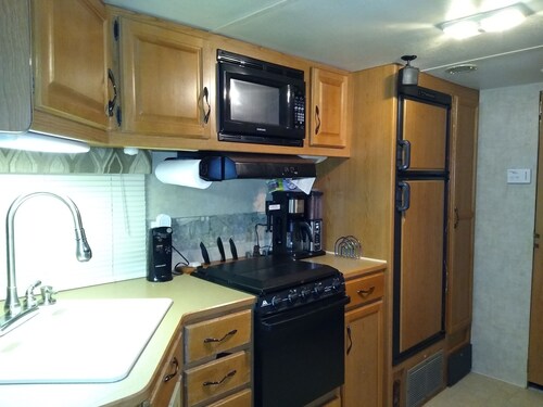 this is  a very spacious RV that sits under 2 large trees