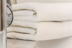 Shower, hair dryer, toilet paper