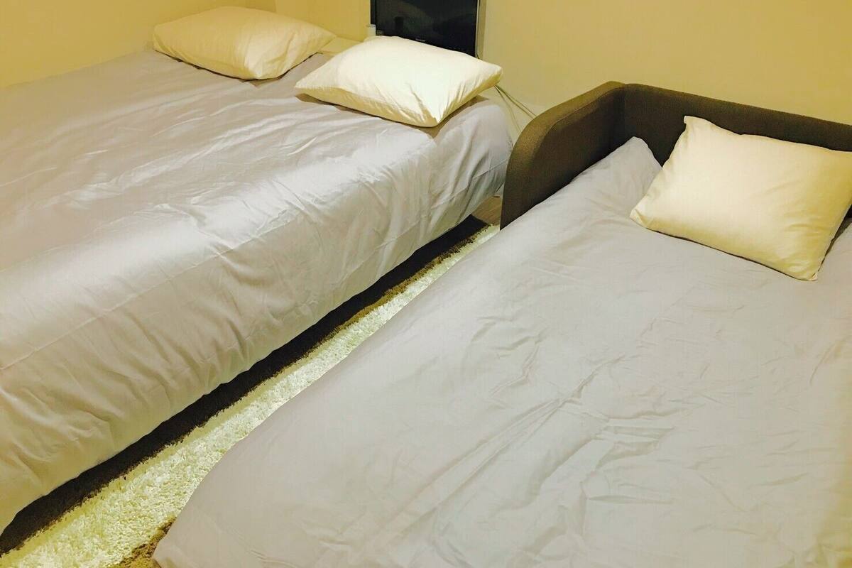 A room with two single beds, each with a pillow and a headboard.