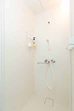 Douche de la salle de bain