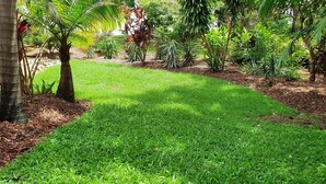 إطلالة من الشرفة