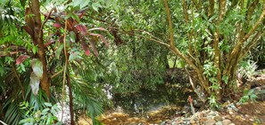 独特村舍, 3 间卧室, 私人浴室, 花园景观 | 阳台景观