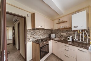 Exclusive Apartment | Private kitchen | Fridge, oven, coffee grinder, cookware/dishes/utensils - Dany Rent A Home (Pitesti)