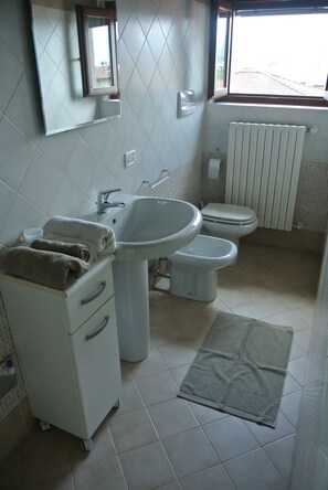 Shower, hair dryer, bidet