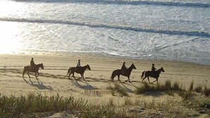 A beach with four people riding horses. - Chambres D'hôtes 1001 Nuits (Vendays-Montalivet)