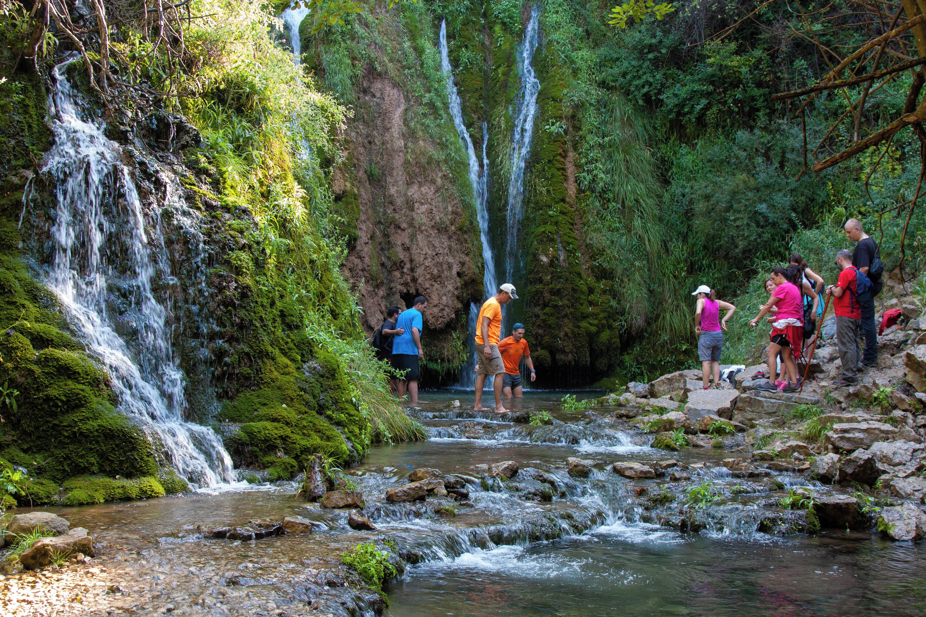 Un grupo de personas de pie cerca de una cascada en un área boscosa, exuberante y verde.