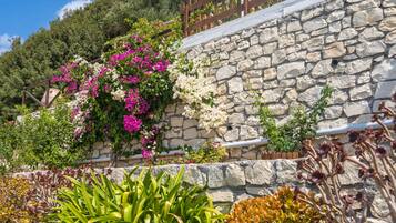 Details aan de buitenkant