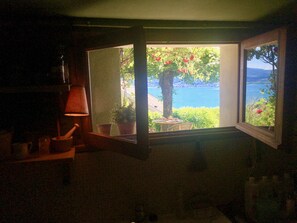 Interior - Panoramic View on Annecy lake (veriyer du lac)