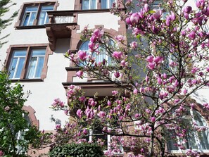 Front of property - Hotel Robert Mayer (Frankfurt)