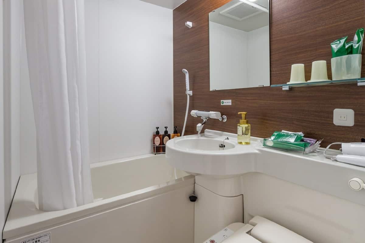 combined shower/bathtub, free toiletries, hair dryer, slippers