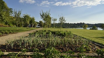 Un jardin avec différentes plantes et arbres, un sentier et un lac en arrière-plan.