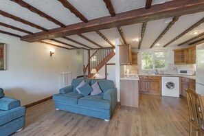 Fernseher, DVD-Player