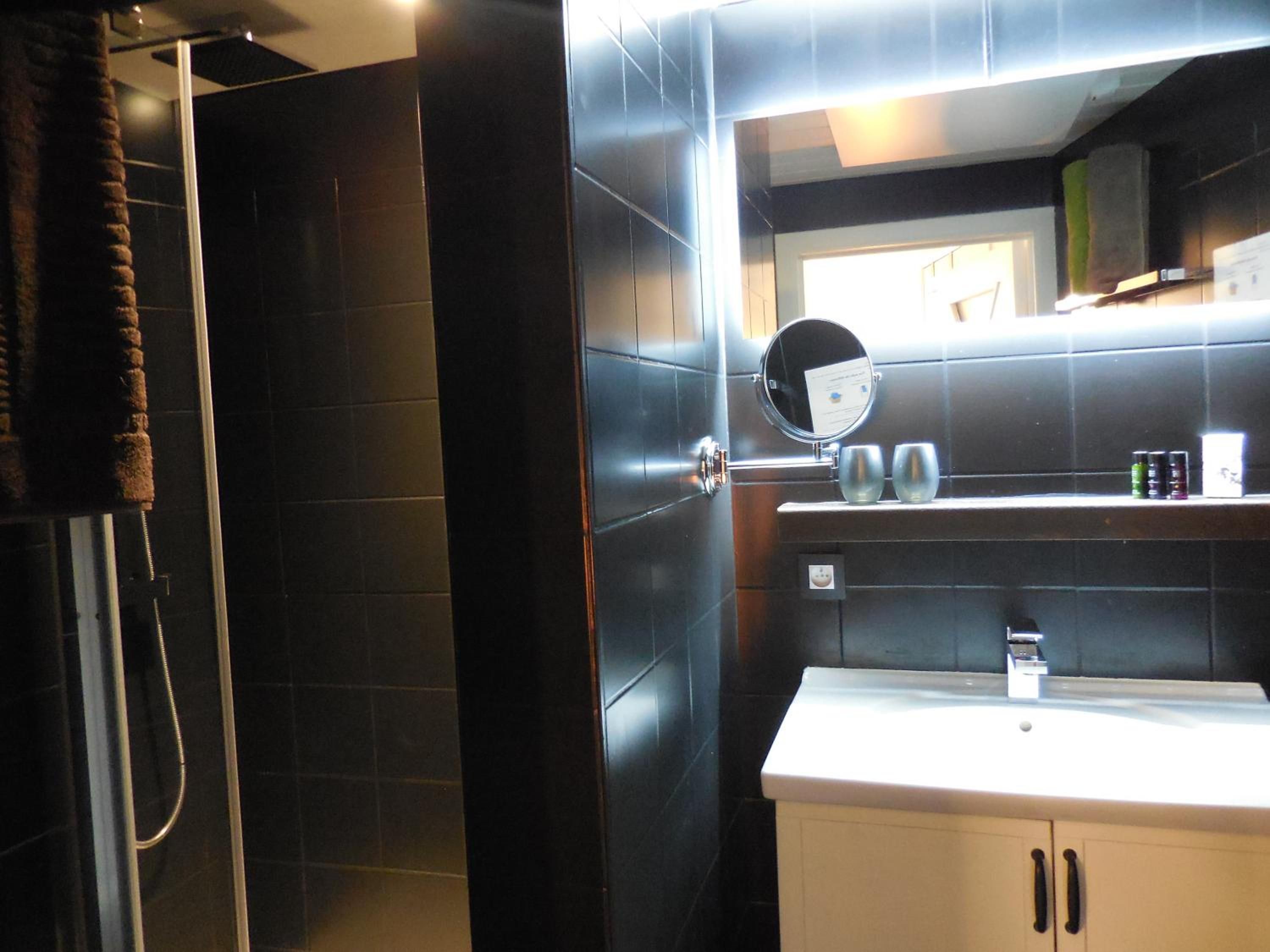 Un baño con ducha, lavabo y espejo.
