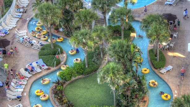 A large pool with multiple lanes, surrounded by palm trees and sun loungers.