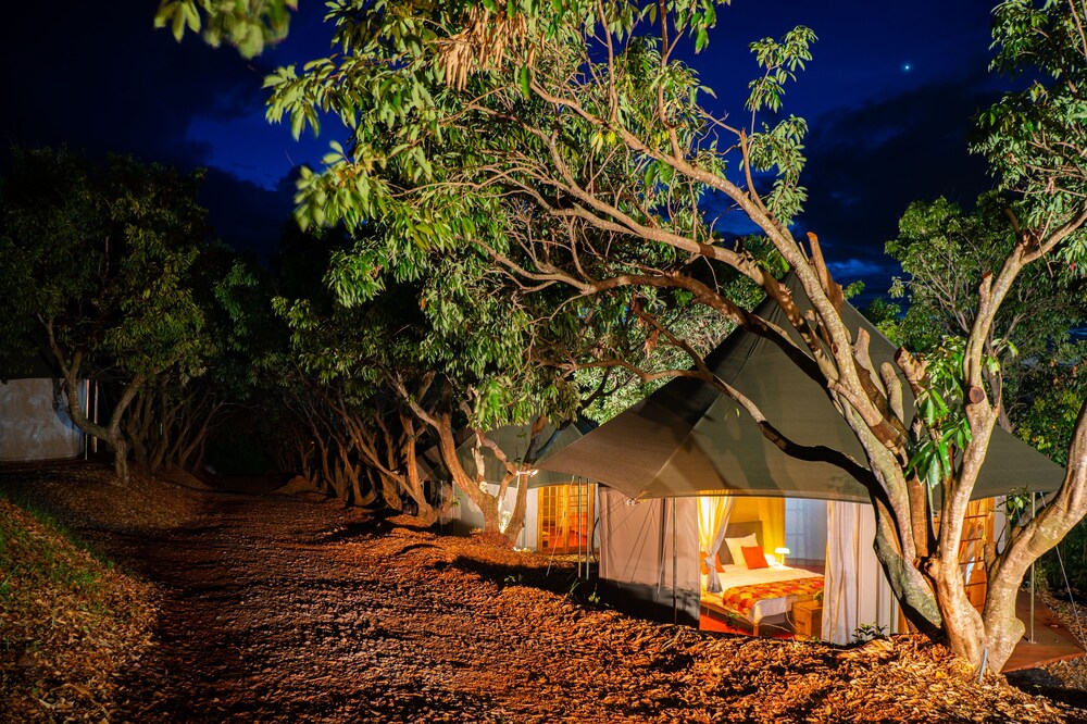 Gadiamb City- Glamping