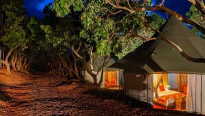 A tree-lined pathway leading to a tented accommodation with a visible bedroom. - Gadiamb City- Glamping (Saint-Pierre)