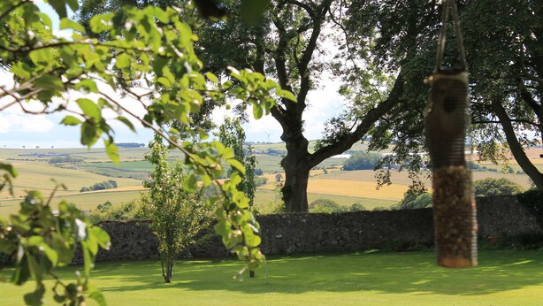 A grassy field with a large tree and a stone wall in the background. - 3 bedroom cottage, with far reaching views of the garden and open countryside. (Whitehills)