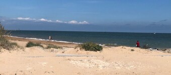 Magnifique Location Courlis