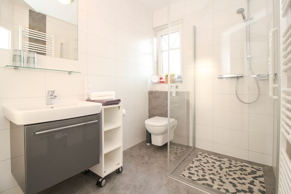 Shower, hair dryer, toilet paper