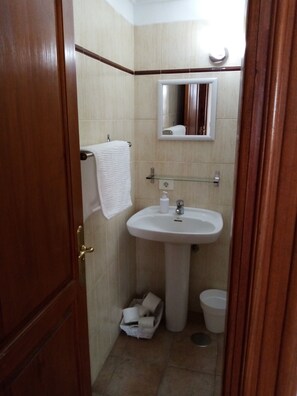 Shower, hair dryer, towels - Ziggys retreat B & B Adults Only (Vilaflor)