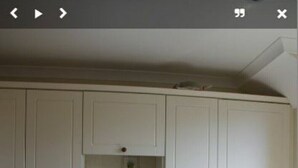 A kitchen with white cabinets, a stove, oven, and a countertop with kitchen utensils and a kettle. - Sunny south facing Riverside home  (Ayr)
