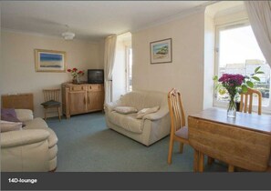 Flatskjerm-TV og musikkbibliotek