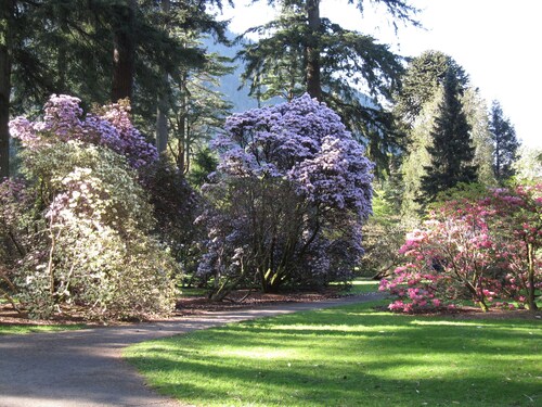 Peaceful Secluded Garden Cottage is near to beach, rail, bus and bustley town.