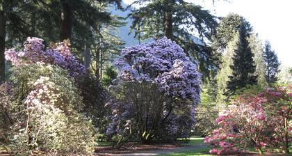 Peaceful Secluded Garden Cottage is near to beach, rail, bus and bustley town.