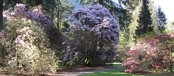 Puutarhamökki - rannikkoloma lÀhellÀ Prestwickin lentokenttÀÀ