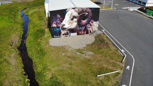 A building with a mural of a llama, a parking lot, and a view of the sea. - Kleifar (Hellissandur)