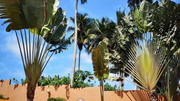 Hồ bơi ngoài trời