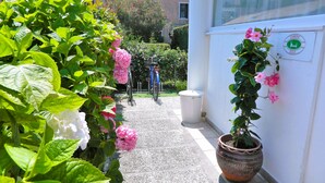 A narrow pathway flanked by lush green plants and pink flowers, leading to a building with a white exterior and a sign indicating a camera service. - Villa Marina (Venice)