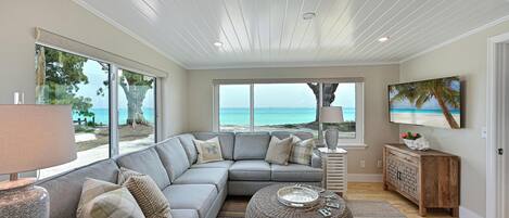 Älytelevisio, kirjoja