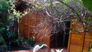 Una cabaña de madera junto a un estanque, rodeada de vegetación exuberante y plantas en flor.