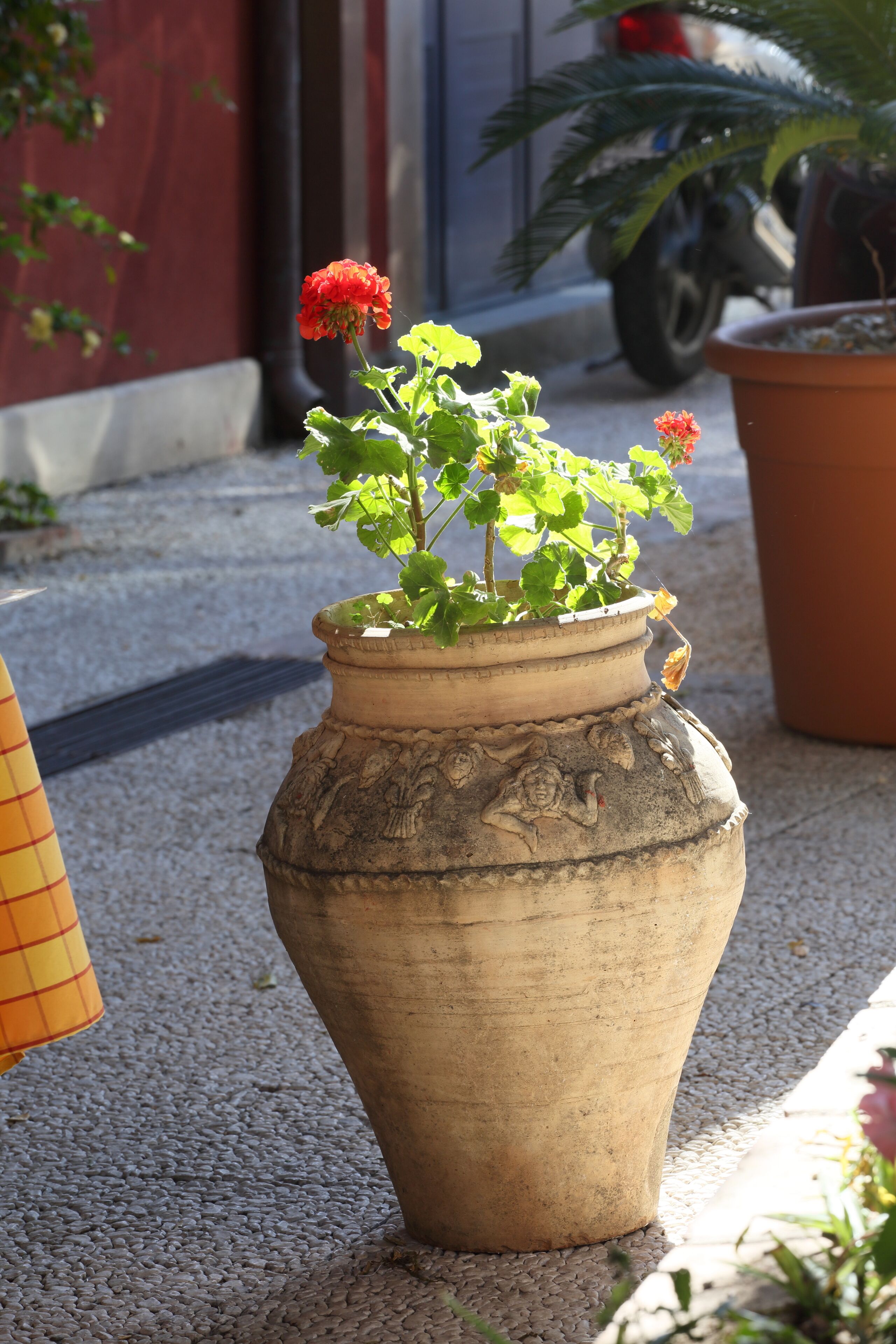 A large terracotta pot with a plant and flowers on a textured pavement.