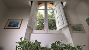 Une pièce avec une grande fenêtre, un tableau encadré au mur et une plante en pot au premier plan.