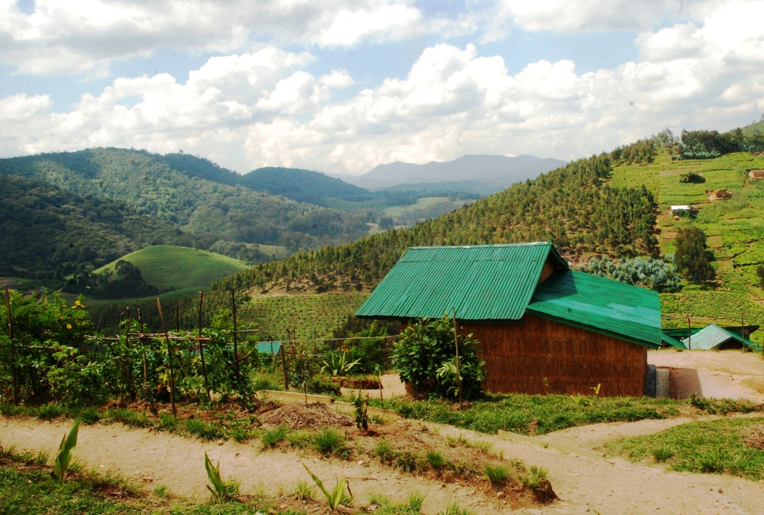 A rural house with a green roof, surrounded by lush green fields and hills.