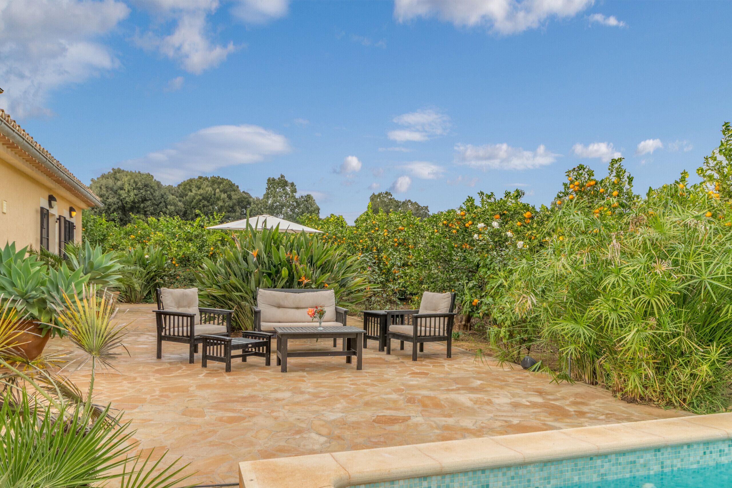 Une terrasse extérieure avec un sol en pierre, une piscine et une végétation luxuriante.