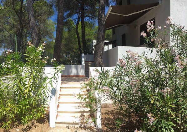 Terrain de l’hébergement