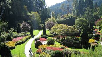 Un jardín bien cuidado con un sendero sinuoso, setos ordenados y una gran variedad de plantas en flor.
