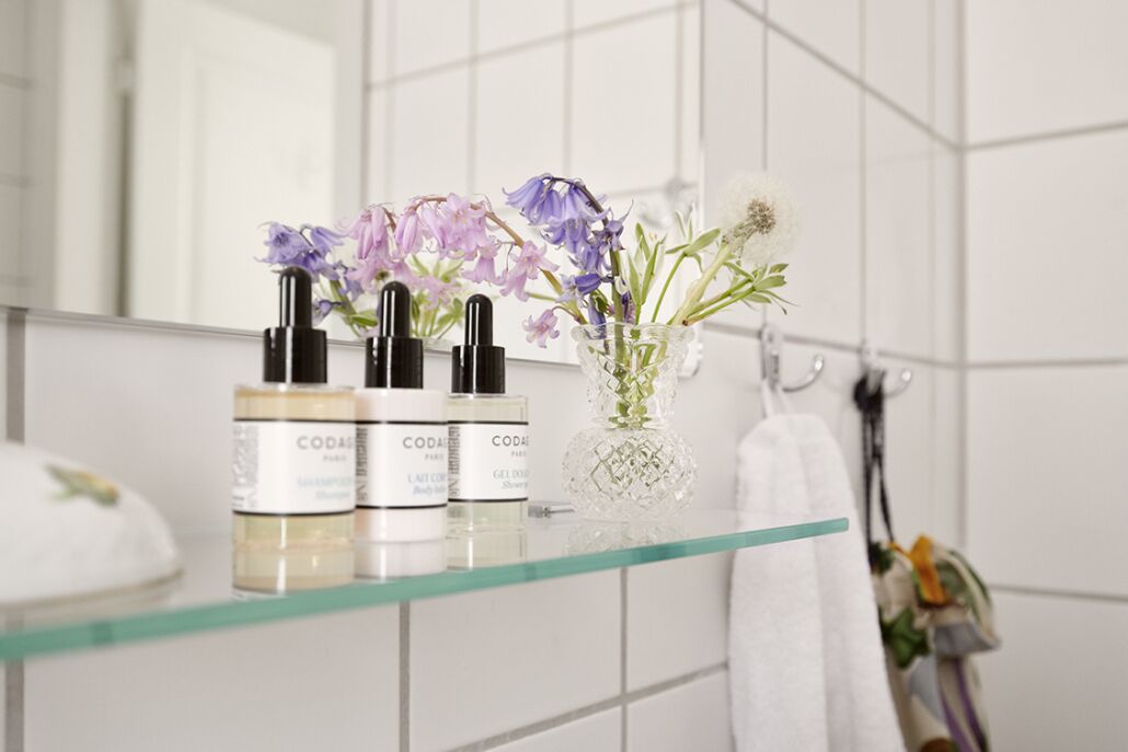 shower, free toiletries, hair dryer, slippers