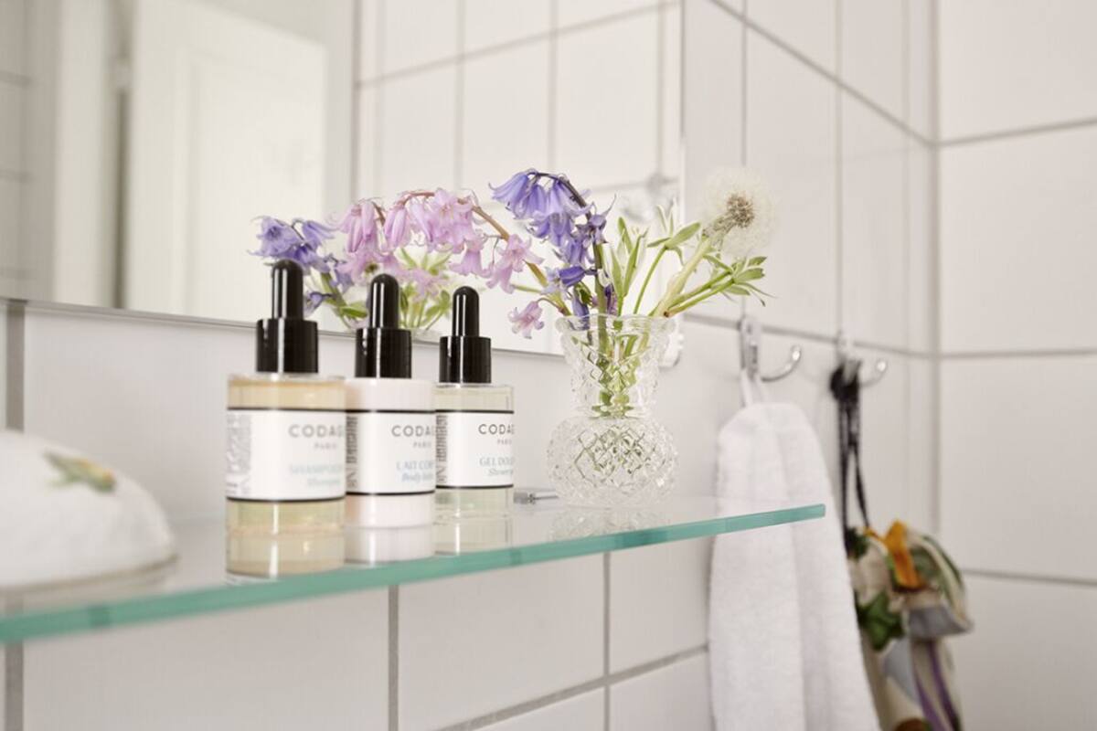 shower, free toiletries, hair dryer, slippers