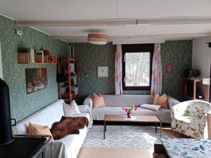 Smart-TV, Kamin, BĂŒcher, Stereoanlage