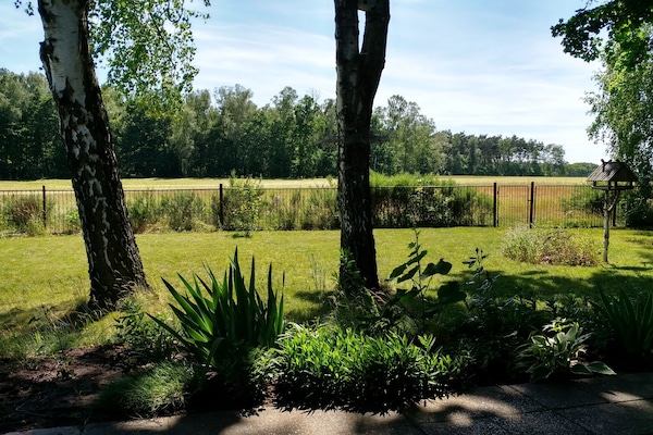 Blick von der überdachten Südterrasse in den Garten und auf Wiese und Wald.