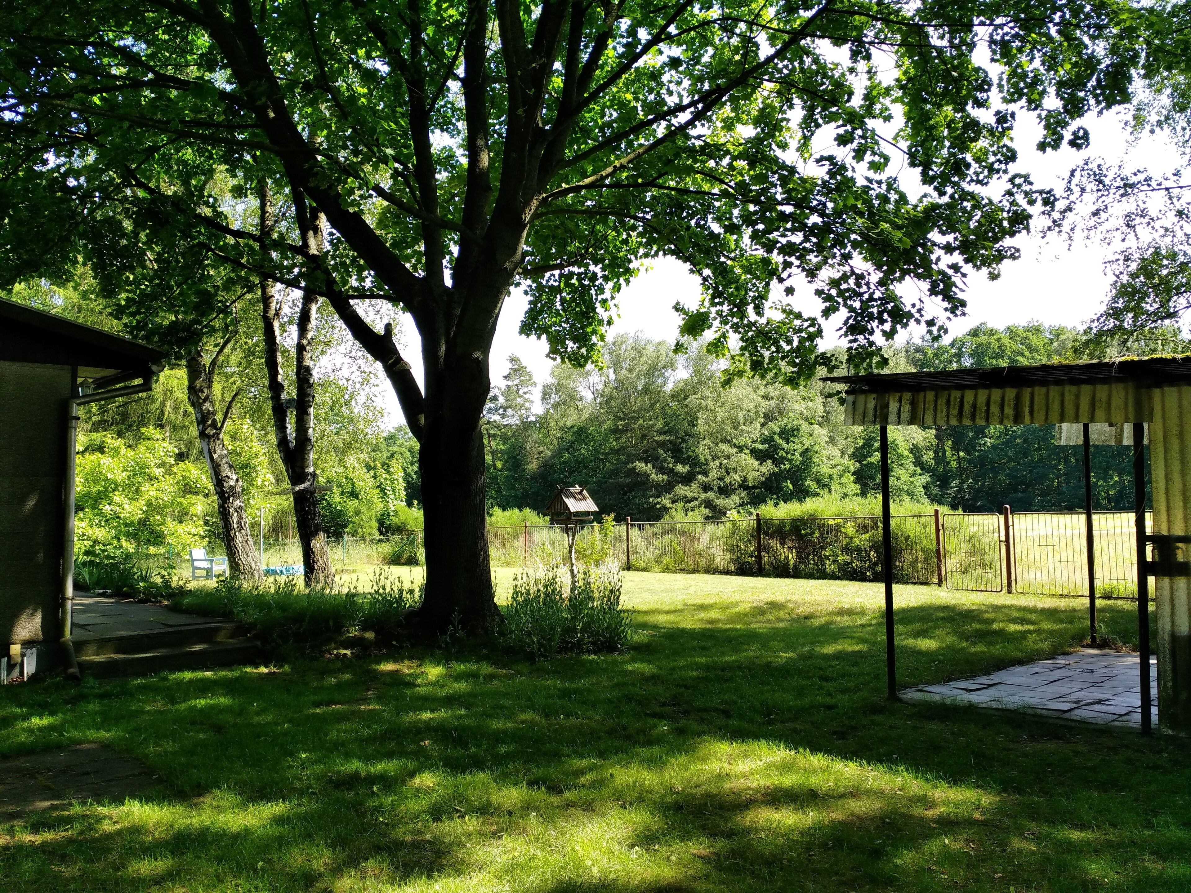Un patio trasero con un árbol grande, un porche cubierto y un jardín cercado.