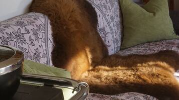 1 makuuhuone, ilmainen Wi-Fi, vuodevaatteet